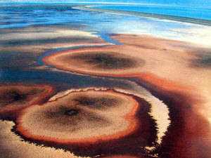 Mar muerto, un lago endorreico apreciado por el turismo natural