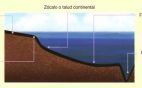 Relieve oceánico: plataforma, talud, fondo o llanura abisal, dorsales y fosas marinas