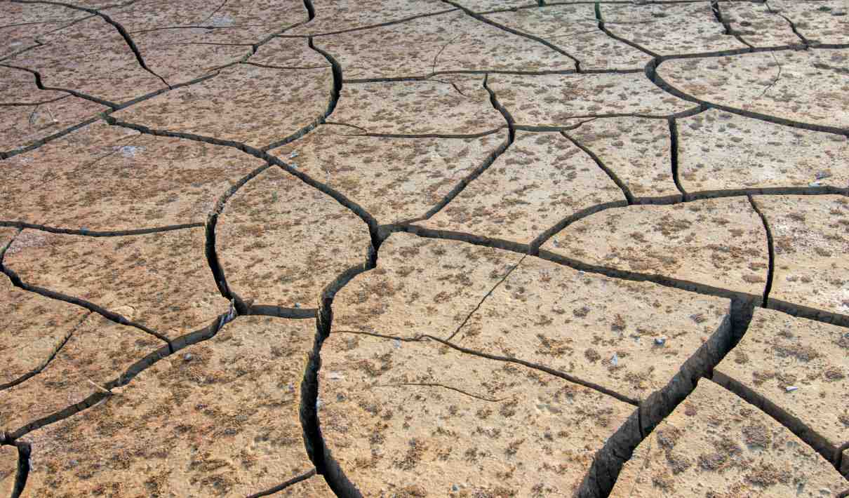 Qué es la desertizacion, principales causas y sus consecuencias