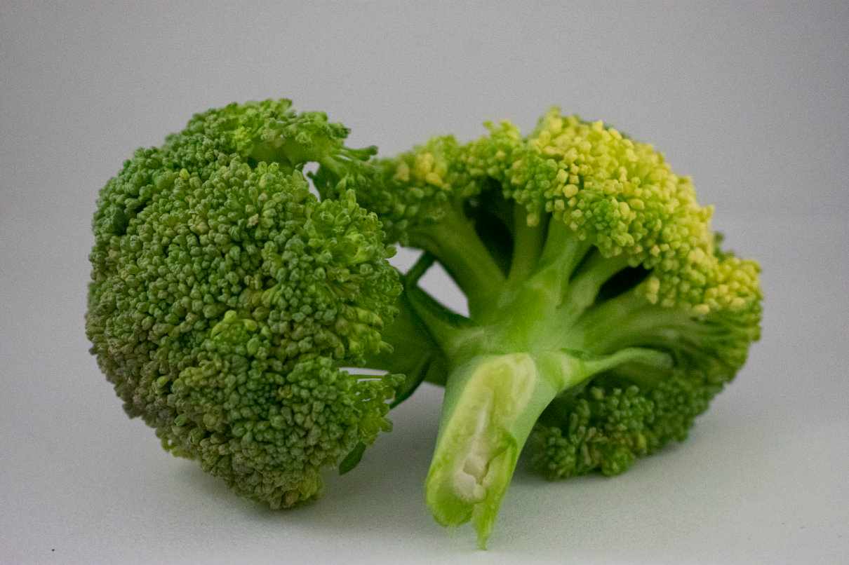 Brócoli, Brassica oleracea var. Italica