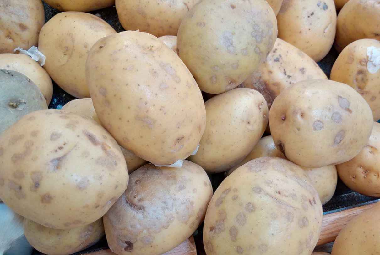 Patata, Solanum tuberosum, información de la planta, propiedades