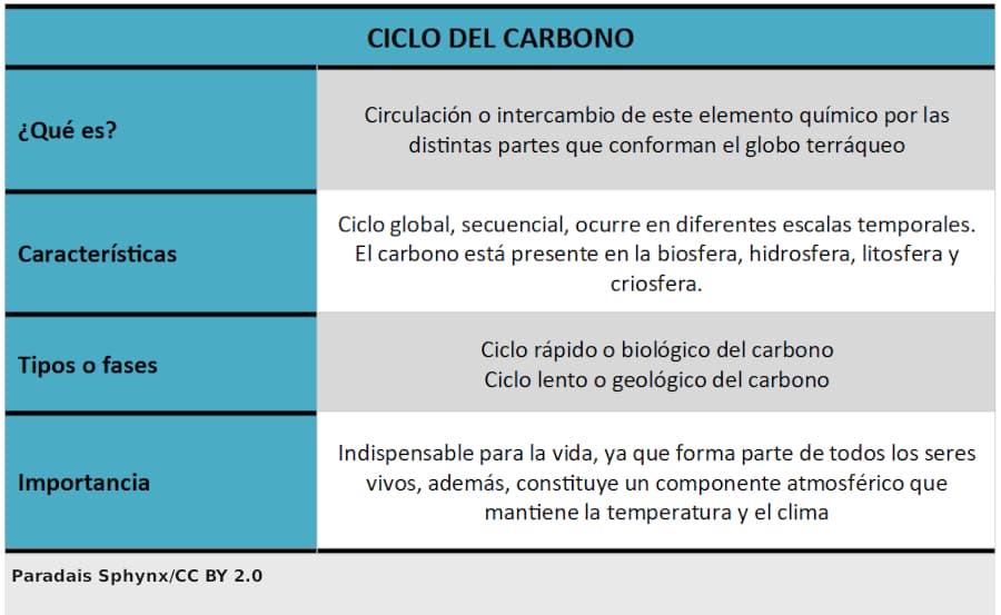 Ciclo del carbono, esquema o resumen
