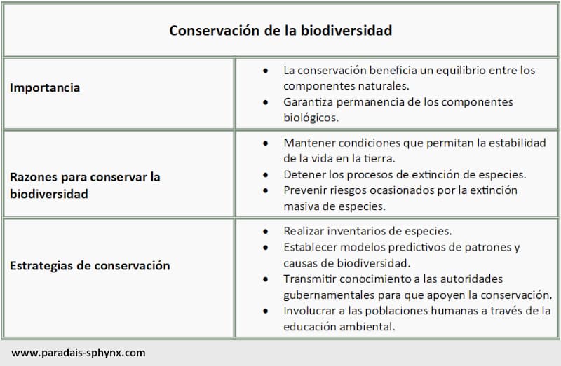 Resumen sobre la conservación de la biodiversidad, razones e instrumentos.