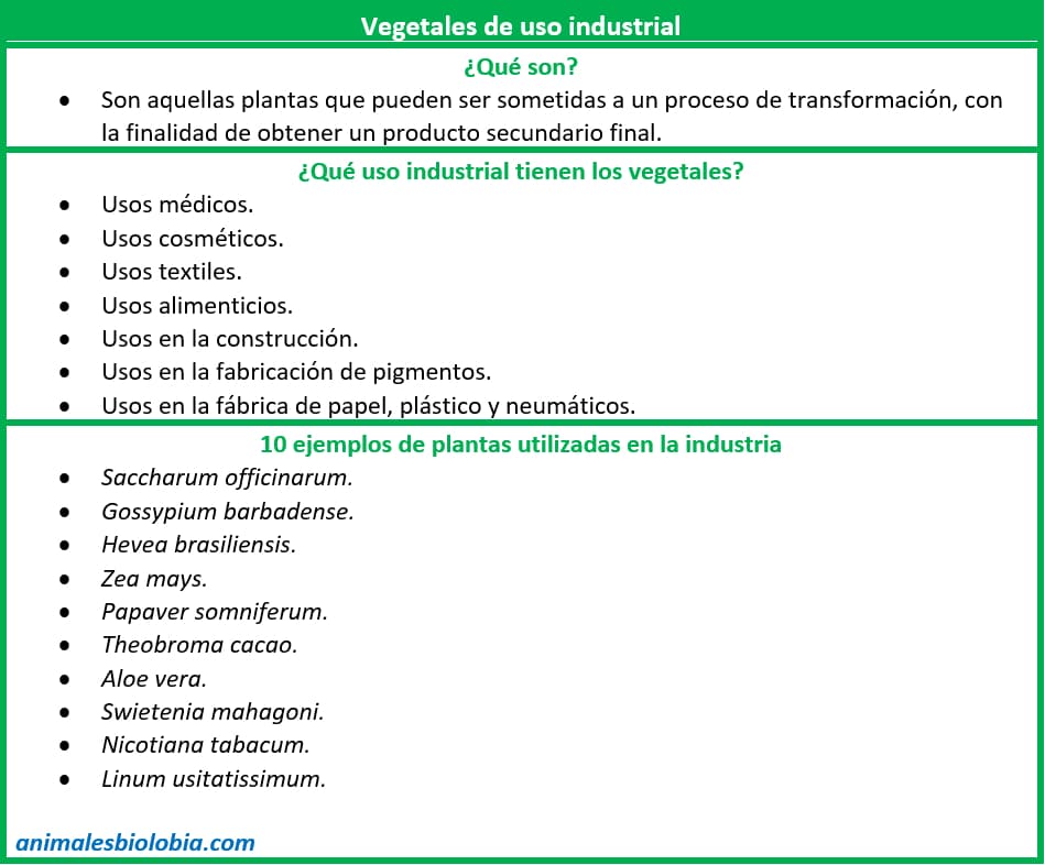 Resume, esquema sobre vegetales de uso industrial