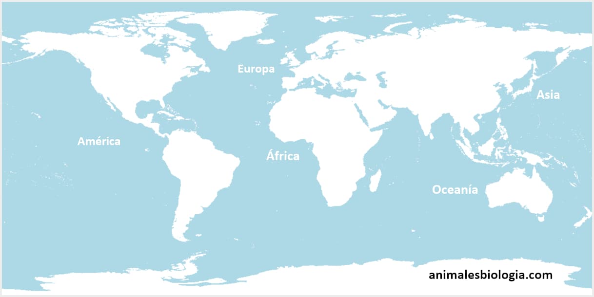Mapa de continentes