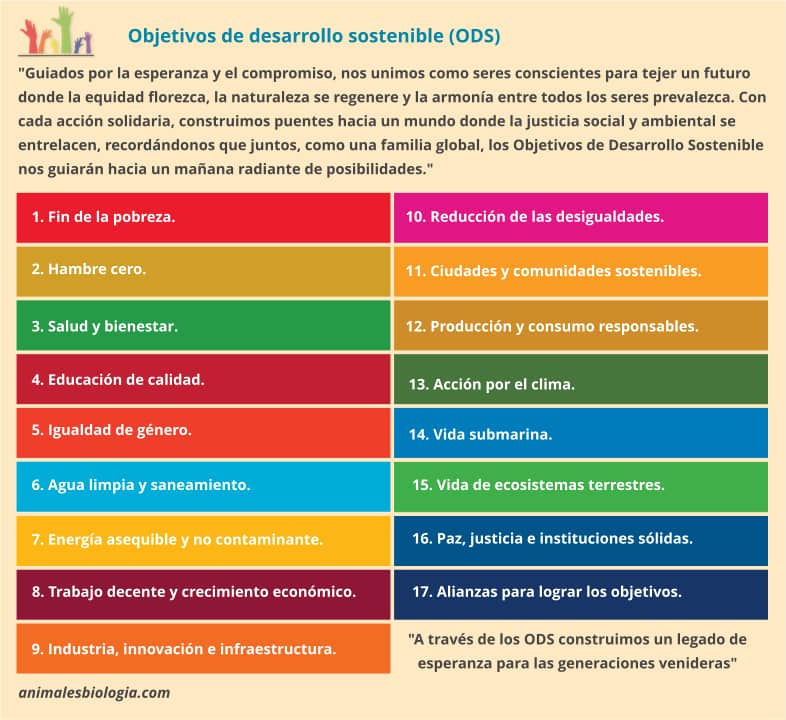 Ficha educativa sobre los objetivos de desarrollo sostenible